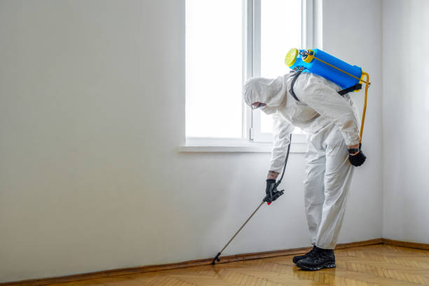 Pest Prevention Services in Taft Southwest, TX