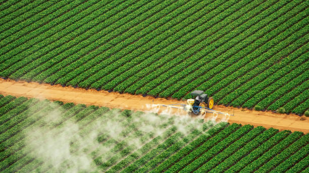 Best Pest Control Cost  in Taft Southwest, TX